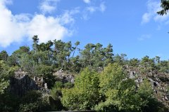 Lundi (41)